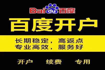 百度竞价代理的客户案例：如何实现ROI最大化
